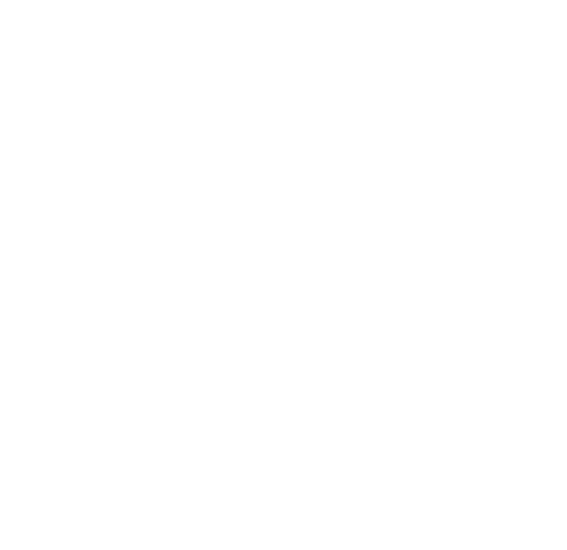 TikTok Icon